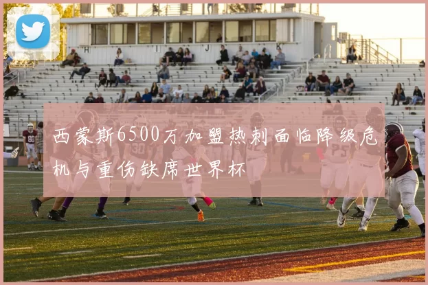 西蒙斯6500万加盟热刺面临降级危机与重伤缺席世界杯